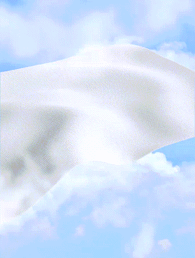 1747984871b9548485a11d73462ea78f1a4e4a446f.gif