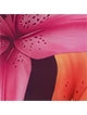 174850674280eeebb8c1e33affe8582624ee08a80e_square_wk_1748583651_thumbnail_900x.webp