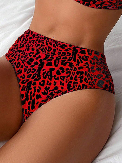 1750215742c4c84ce6bcd3161945dc14029d235980_thumbnail_900x.webp